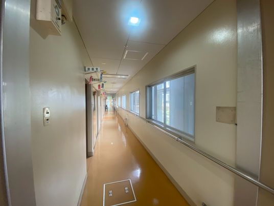 自然光が差し込む廊下