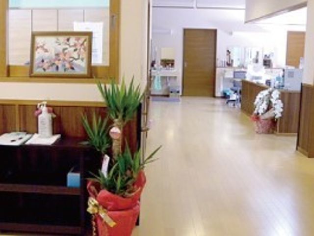 光が差し込む明るいロビー 廊下 床が木目で温かみのある受付エリアです。手入れの行き届いた植物が、来訪者を穏やかに迎えます。
