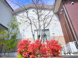 彩り豊かな植栽と建物