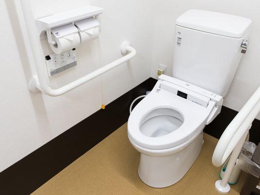 手すり付きの清潔なトイレ
