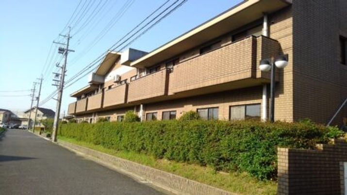 緑に囲まれた外壁の外観