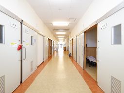 明るい廊下の風景