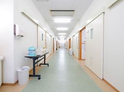 清潔な廊下の様子