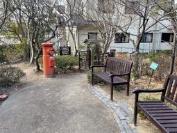 緑豊かな庭のベンチ