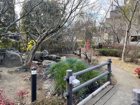 穏やかな庭園