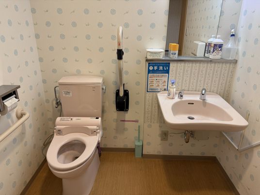 手すり付きのトイレ