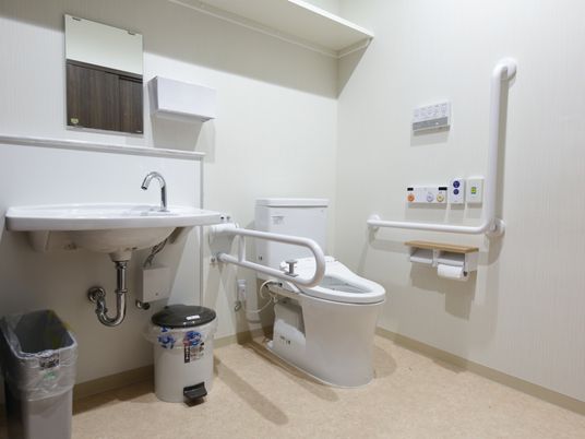 トイレの個室内に手洗い場と便器が並んでいる。便座両側には、車椅子からの移乗を助けるタイプの手すりが設置されている。