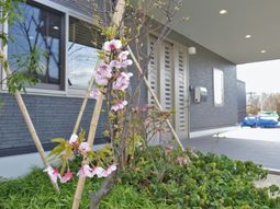 春の花が咲くエントランス