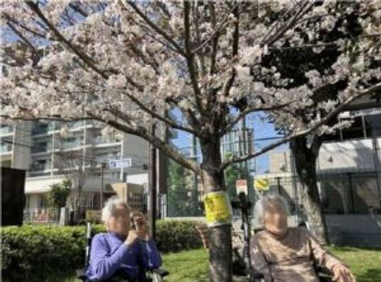 明るい中庭の憩いの場