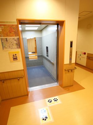 清潔感のあるエレベーターホール