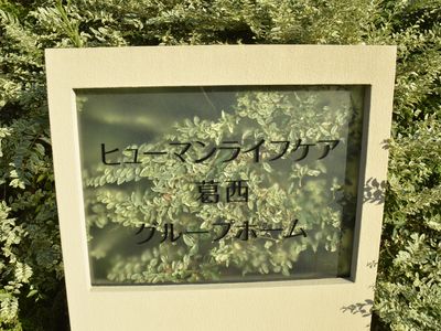 緑に囲まれた看板