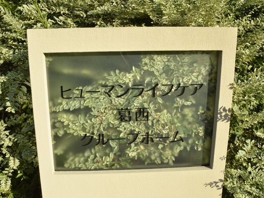緑に囲まれた看板