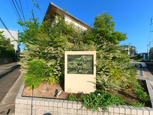 中庭の緑豊かな風景