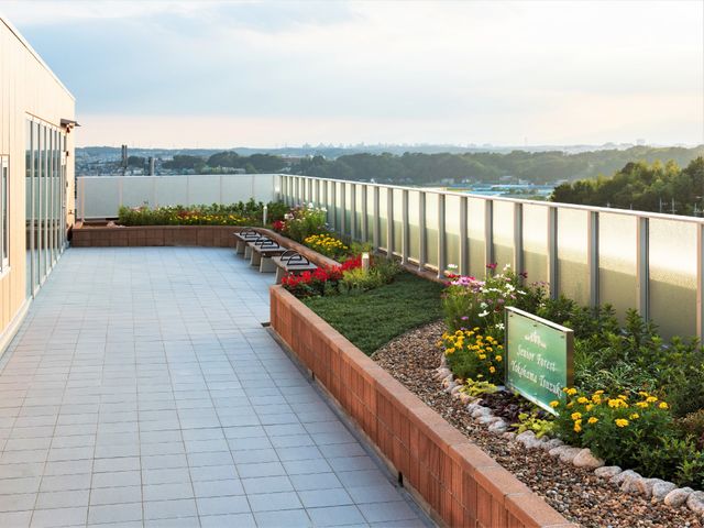 中庭の花とベンチ 屋外庭園 広々とした屋外スペースがあり、色とりどりの花々が植えられています。日々のリフレッシュに最適な場所でしょう。