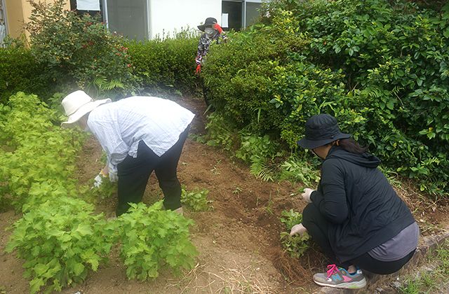庭作業をする人々 庭 緑に囲まれた庭で、利用者が楽しみながら土いじりをしています。リラックスした雰囲気です。