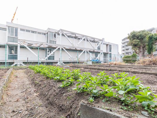 建設途中の施設外観