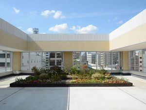 屋上庭園  