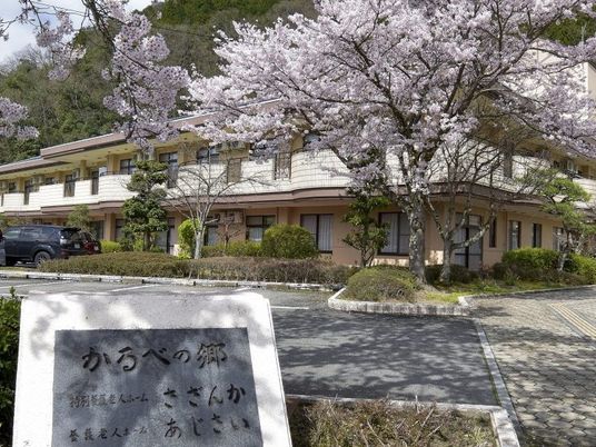 桜と建物の外観  