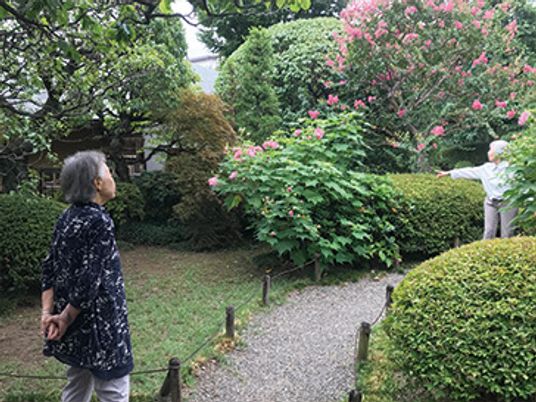 緑豊かな庭園