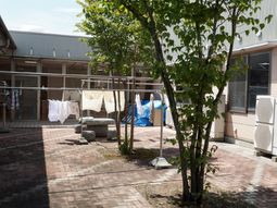 緑の木と洗濯物の庭