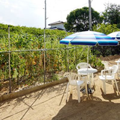 静かな庭のテラス