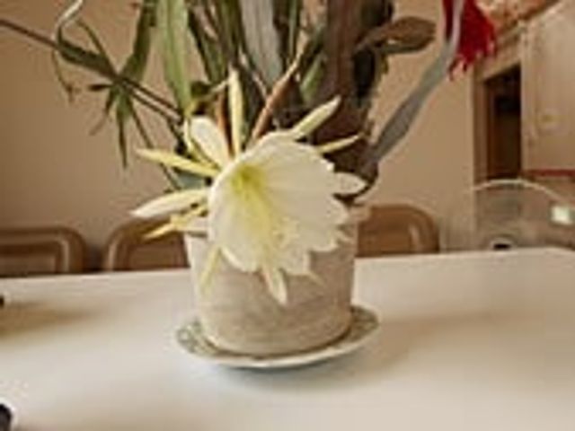 テーブル上の花 休憩室 自然光が差し込む休憩室には、美しい花が飾られており、落ち着いた時間を過ごせます。