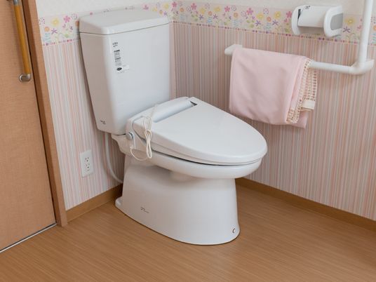 手すり付き洋室トイレ