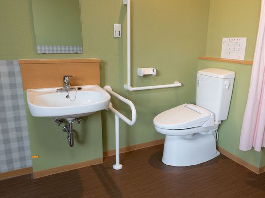手すり付きトイレの内観