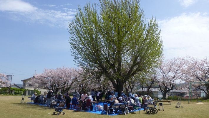 桜の下の憩いの場