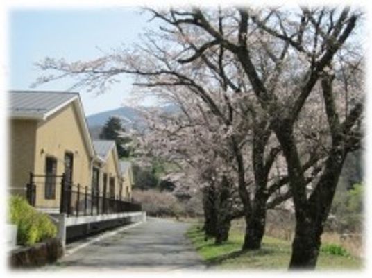 桜並木の外観  