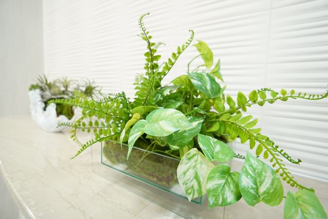 緑豊かな植物ディスプレイ