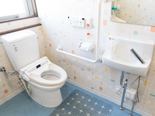 快適設備の清潔なトイレ