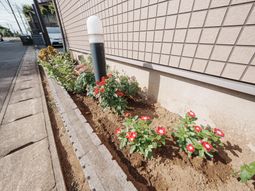 花壇が美しいエントランス
