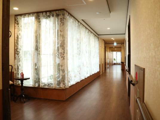 廊下に面したカーテン越しの光