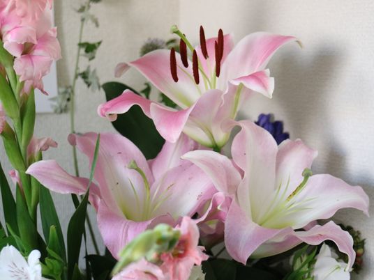 色鮮やかなリリーの花束