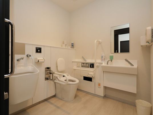 蓋が付いていない白い洋式トイレの横に可動式の手すりが設置されている。洗面台の正面の壁に鏡が取り付けられている。