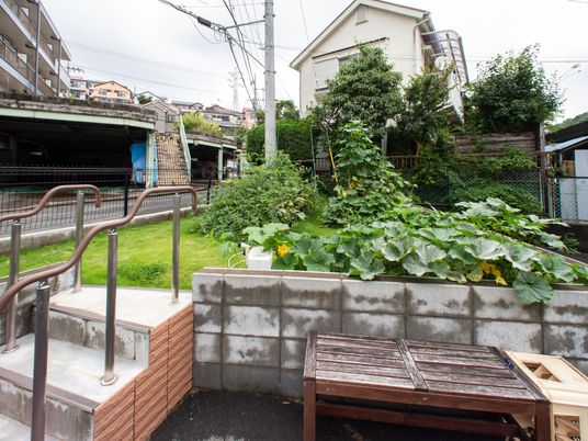 緑豊かな庭の風景