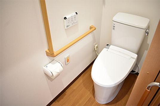 清潔な設備のトイレ