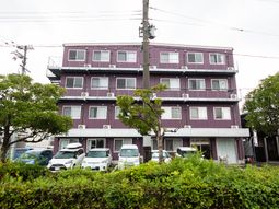 紫色の建物外観