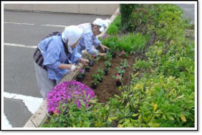庭の植物を手入れ