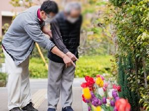 色とりどりの花壇の外観