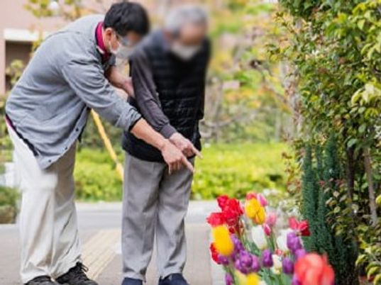 色とりどりの花壇の外観