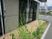 建物前の縁側と植栽  