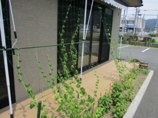建物前の縁側と植栽  