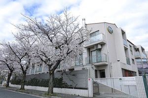 桜が咲く建物の外観