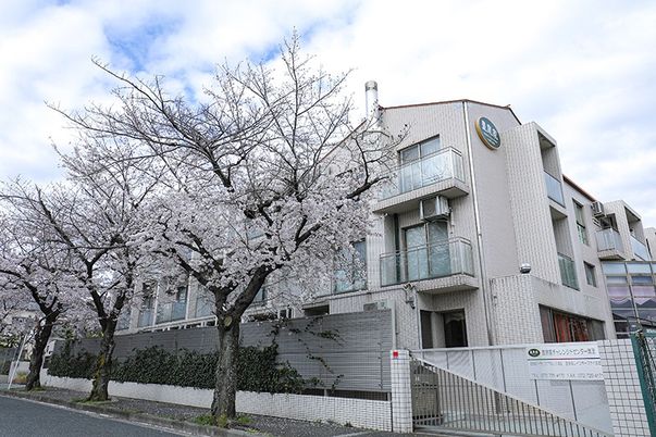 桜が咲く建物の外観
