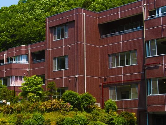 緑豊かな建物外観