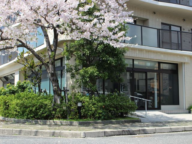 桜の咲く建物の外観 外観 美しい桜が咲き誇る建物の周囲は、訪れる方の気持ちを和ませます。施設の前には広々としたアプローチがあります。