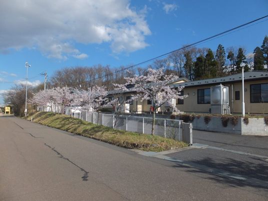 桜並木のある建物外観