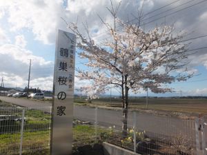 建物敷地の外観